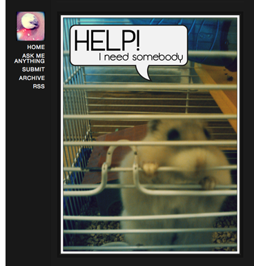 Pinko hamster blog